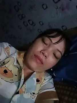 Sana-vn webcam