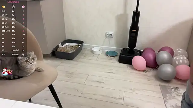 tinykisa