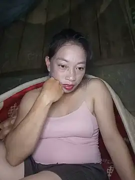 Helly-i webcam