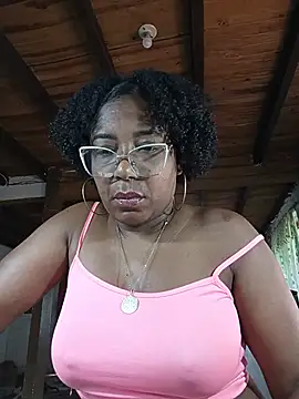 ChanneldelaCroix webcam