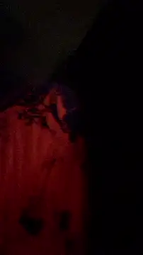 rposhta1991 webcam
