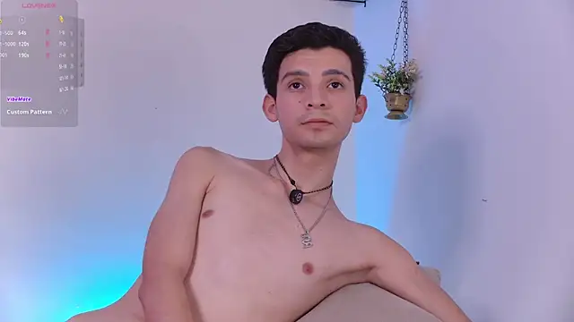 VicenteFerrer webcam