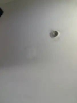 HotDominicanCum live webcam show