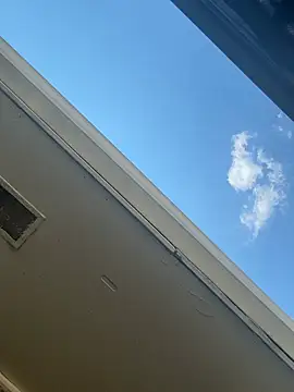 puchibad webcam