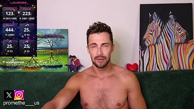 Promethe_us webcam