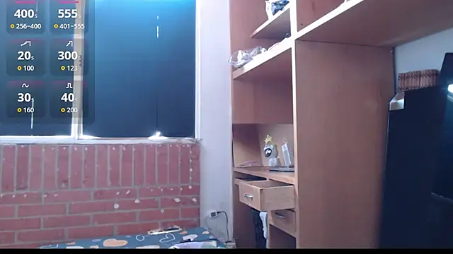 evolet01 webcam