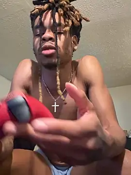 her612 webcam