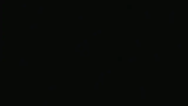 alpha-hunk webcam