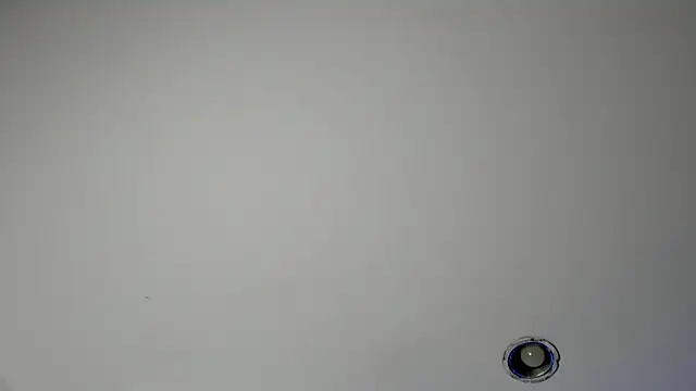 DenzelRios live webcam show