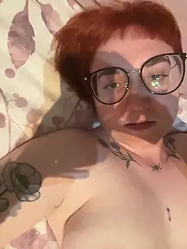 Myssevelyn webcam