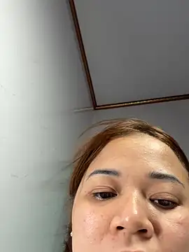 L_We webcam