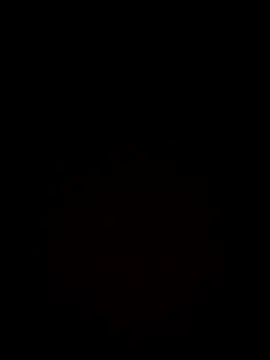 Nguyen_Emaa webcam