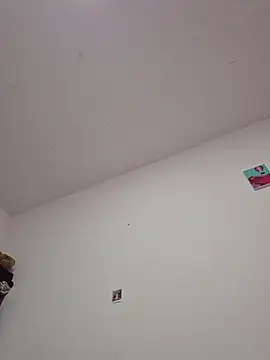 IrisBound webcam