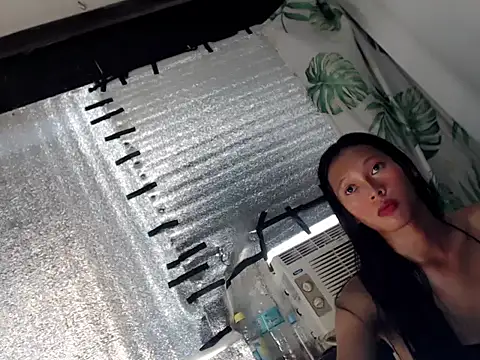 foxbell webcam
