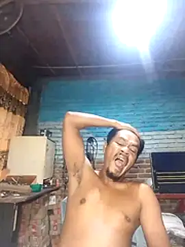 maxwel20 webcam