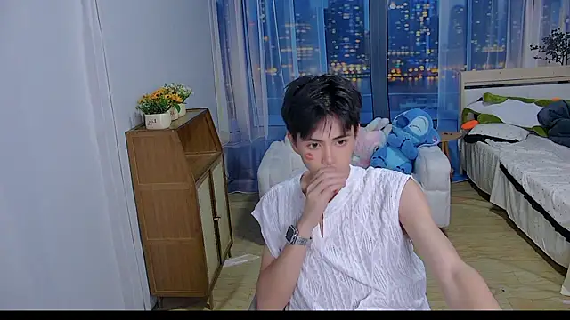 xiaoyang-FF webcam