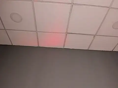 MiiaLimour webcam