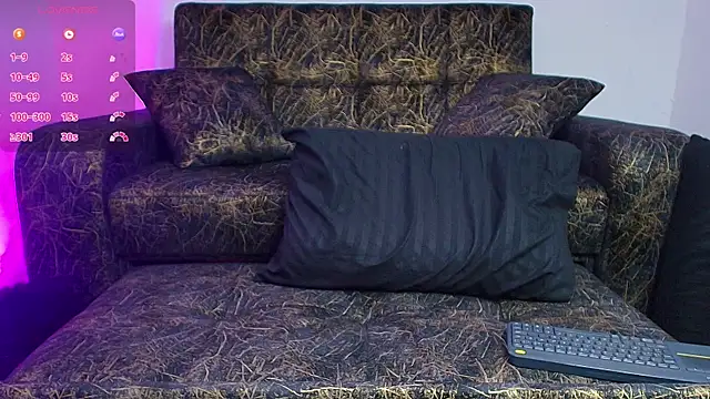 BrayaanFit webcam