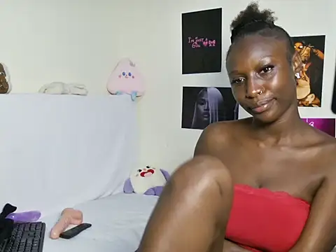 Aria_ah webcam