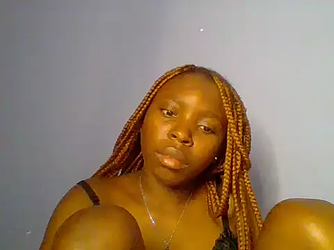 Chocolate-brownie webcam