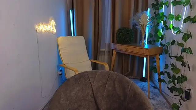 e1v1s webcam
