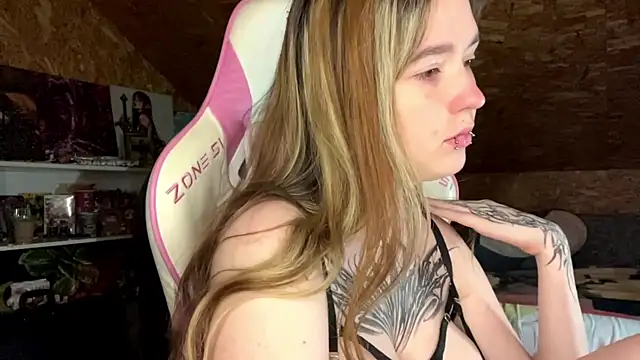 HeidiTian webcam