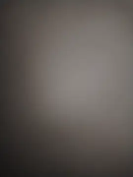 esefrank webcam