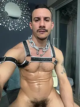 lazzon_bastion webcam