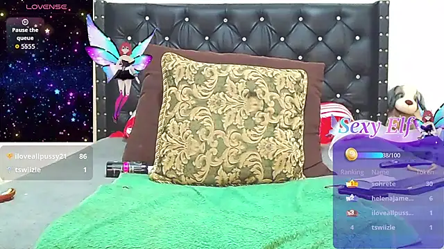 AnySugar webcam
