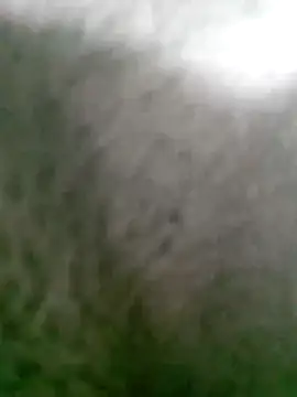 StarringSumac webcam