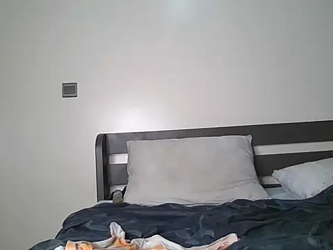 Alevic_ webcam