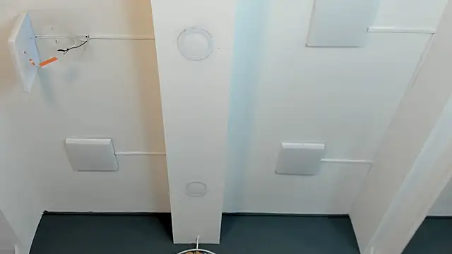 Robin_Rief webcam