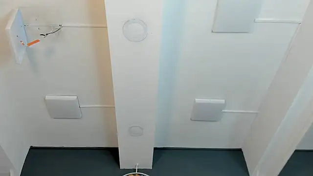 Robin_Rief webcam