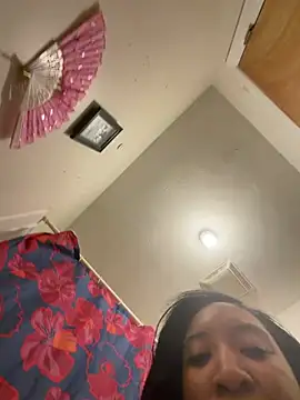LeBimbo webcam