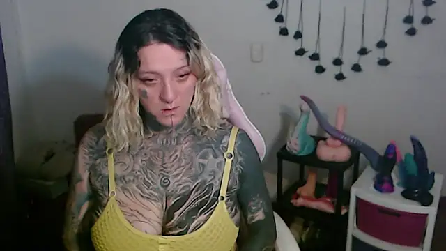 SLOPPYTITSS webcam