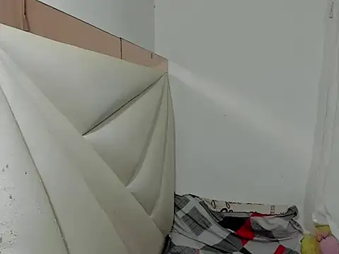 ale-noah webcam