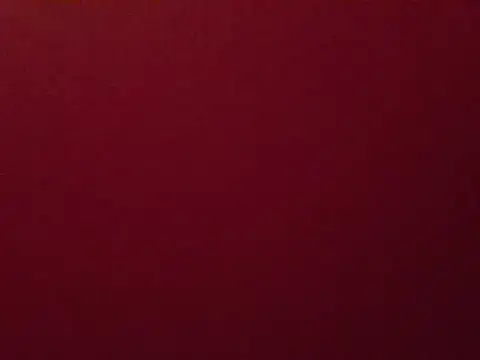 Aria_ah webcam