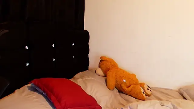 jimmy_class webcam