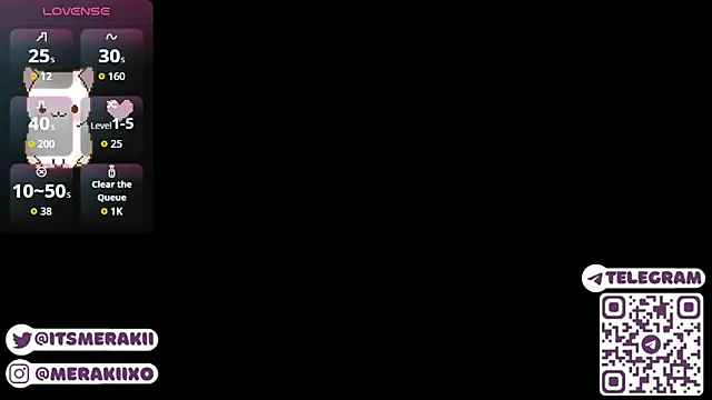 meraki_fraise webcam