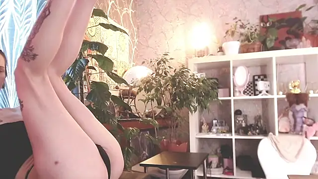 Arwen-elf webcam
