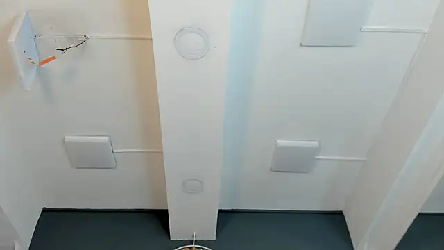 Robin_Rief webcam