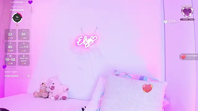 Ely-liones webcam