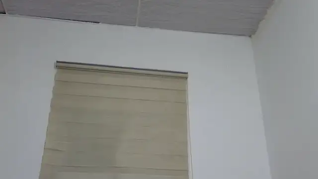 EvaTiffany webcam