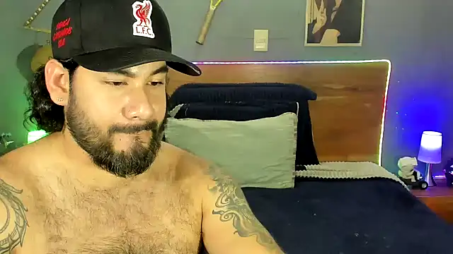 Prometeo-grizzly webcam