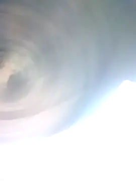 Loomaraj webcam