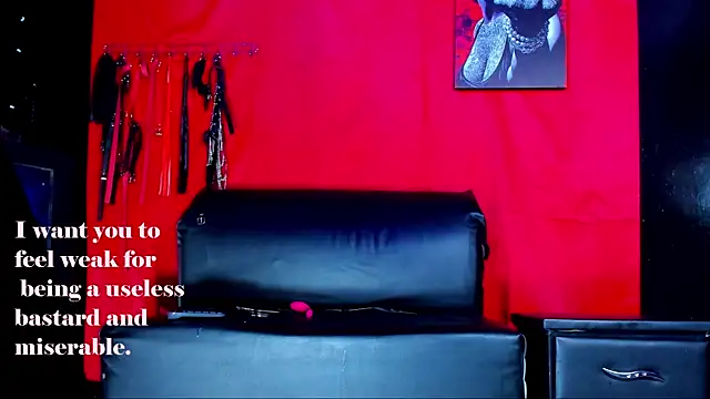 ArtemisaStone webcam