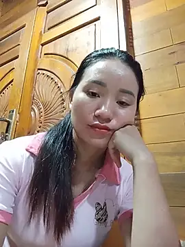 Td3di webcam