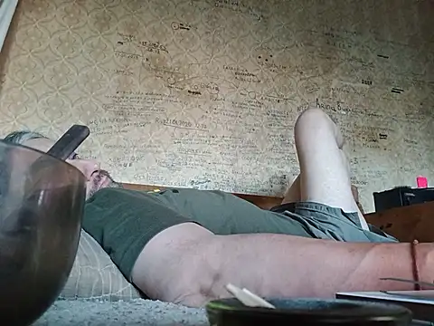 -TrafoX3- webcam