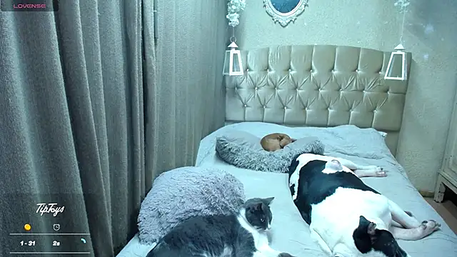 Dreams_sophi webcam