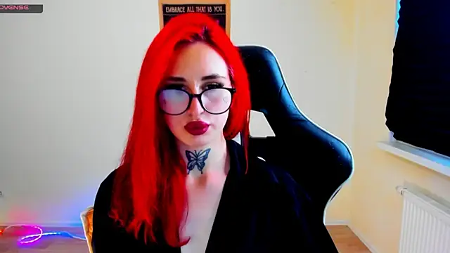 your_tora webcam